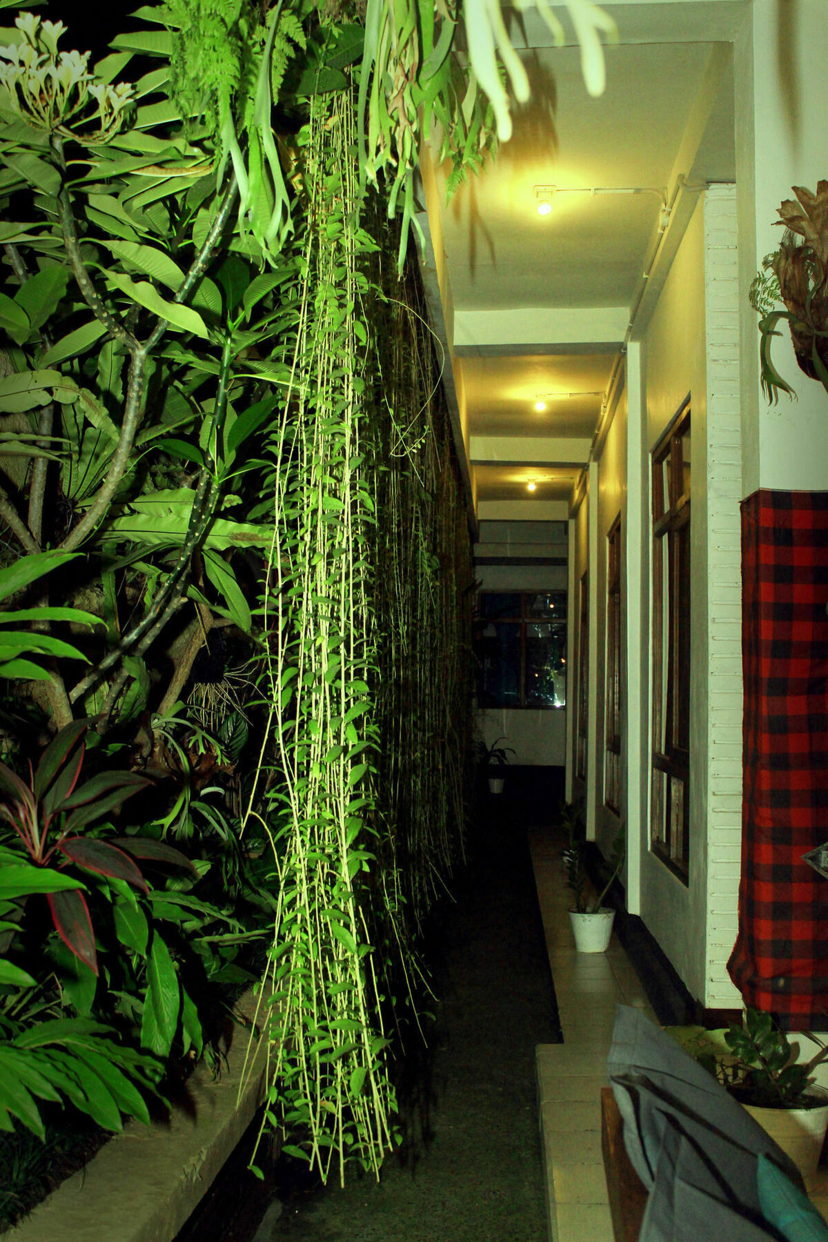 Friendly House Bali Hostel Ubud Buitenkant foto